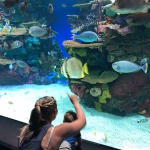 Meet your Posher, Sally